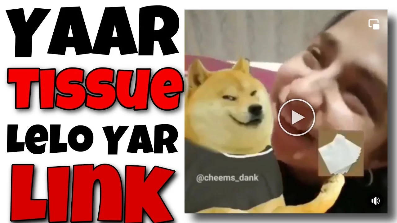 Pagal Tissue Lelo Yaar Viral Video link